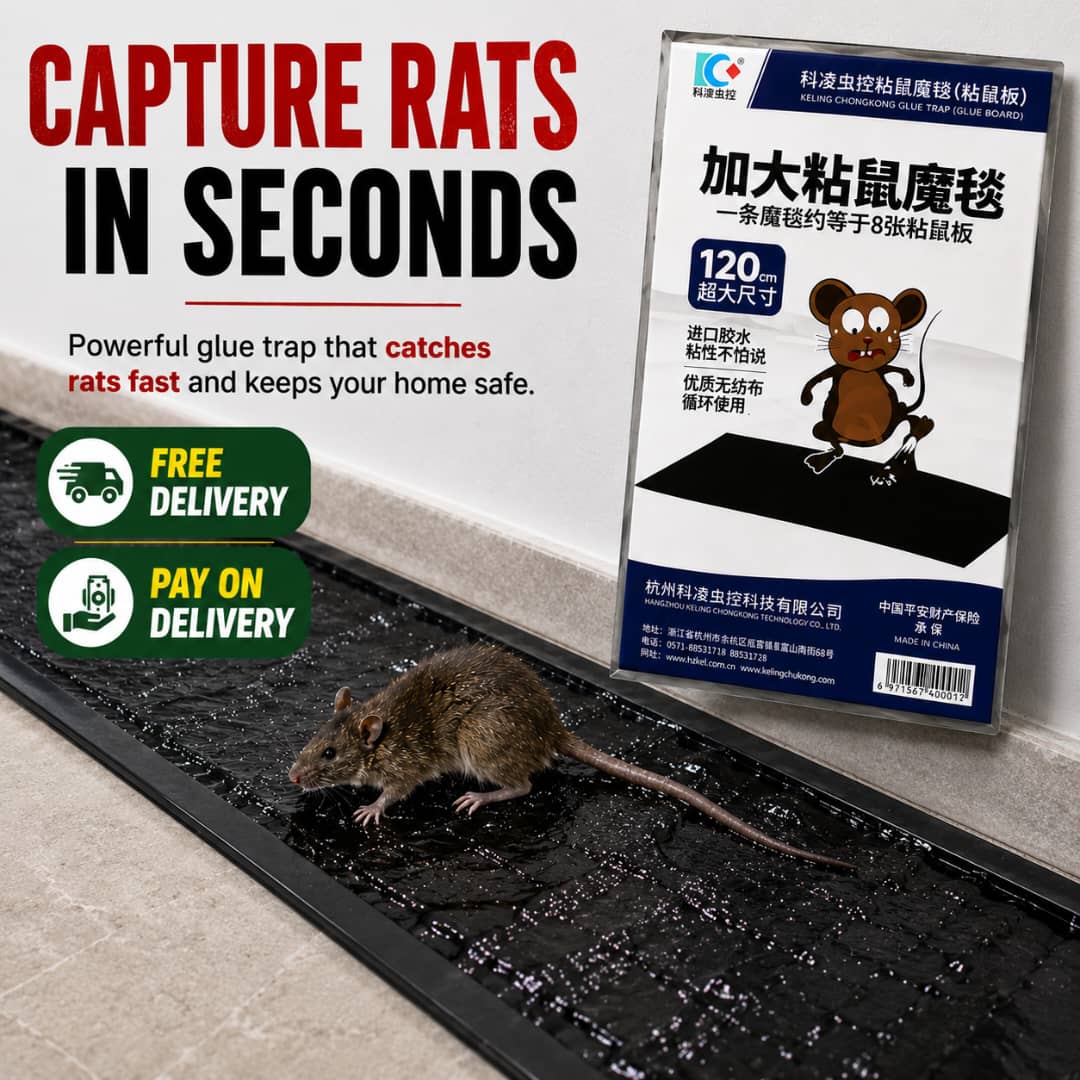 Rat Trap